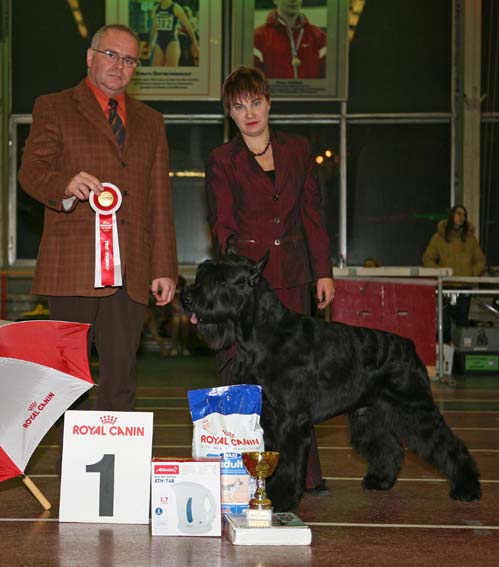 Всероссийская  выставка 18 ноября  2006г.