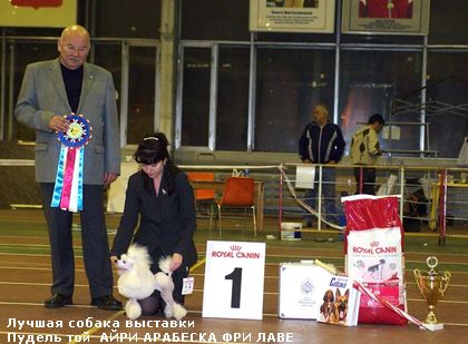 Региональная выставка 10 ноября  2007г.