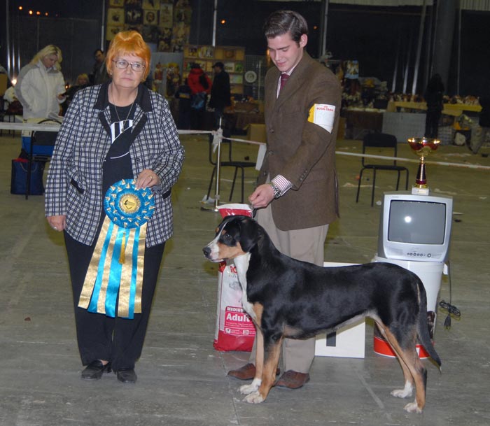 Региональная  выставка  15 ноября 2008 г.