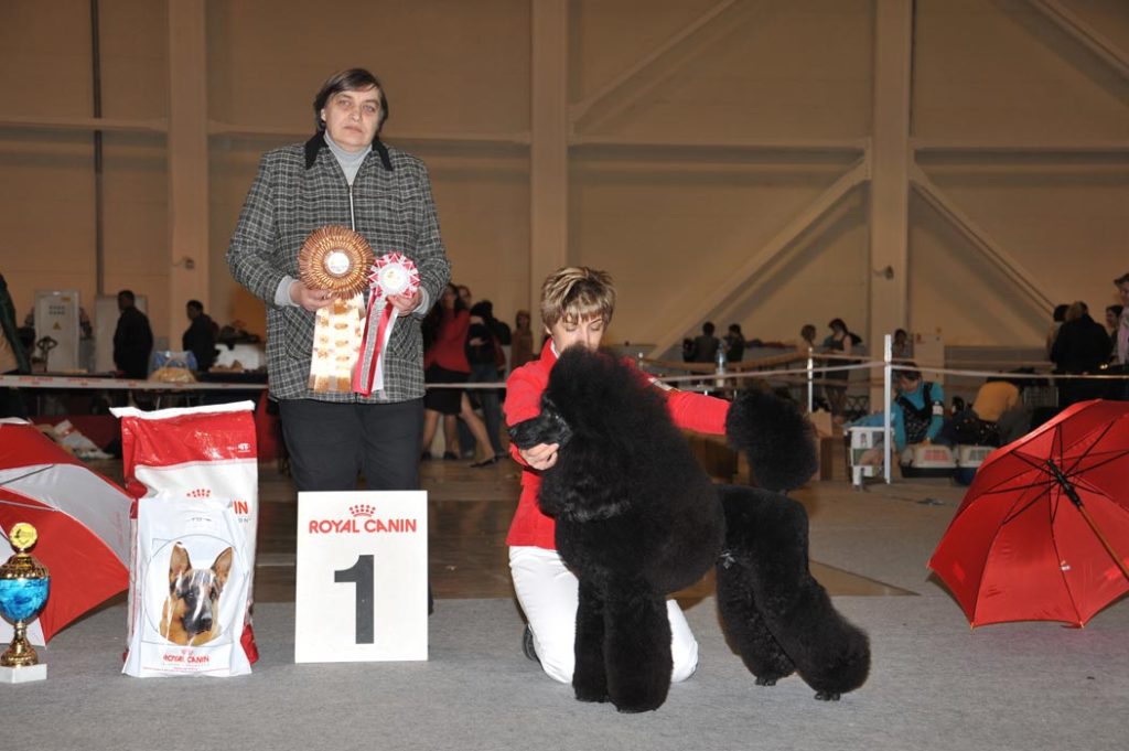 Всероссийская выставка 18 апреля 2010 г.