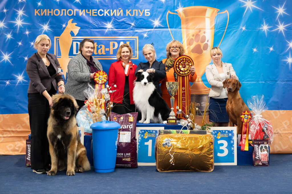 12.11.2023 Выставка собак всех пород ранга САС Чемпион РКФ + блок моно