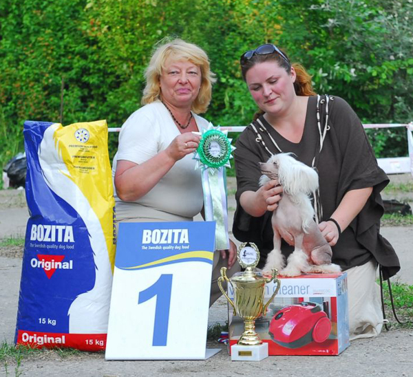 Региональная выставка 28 июля 2009 г.